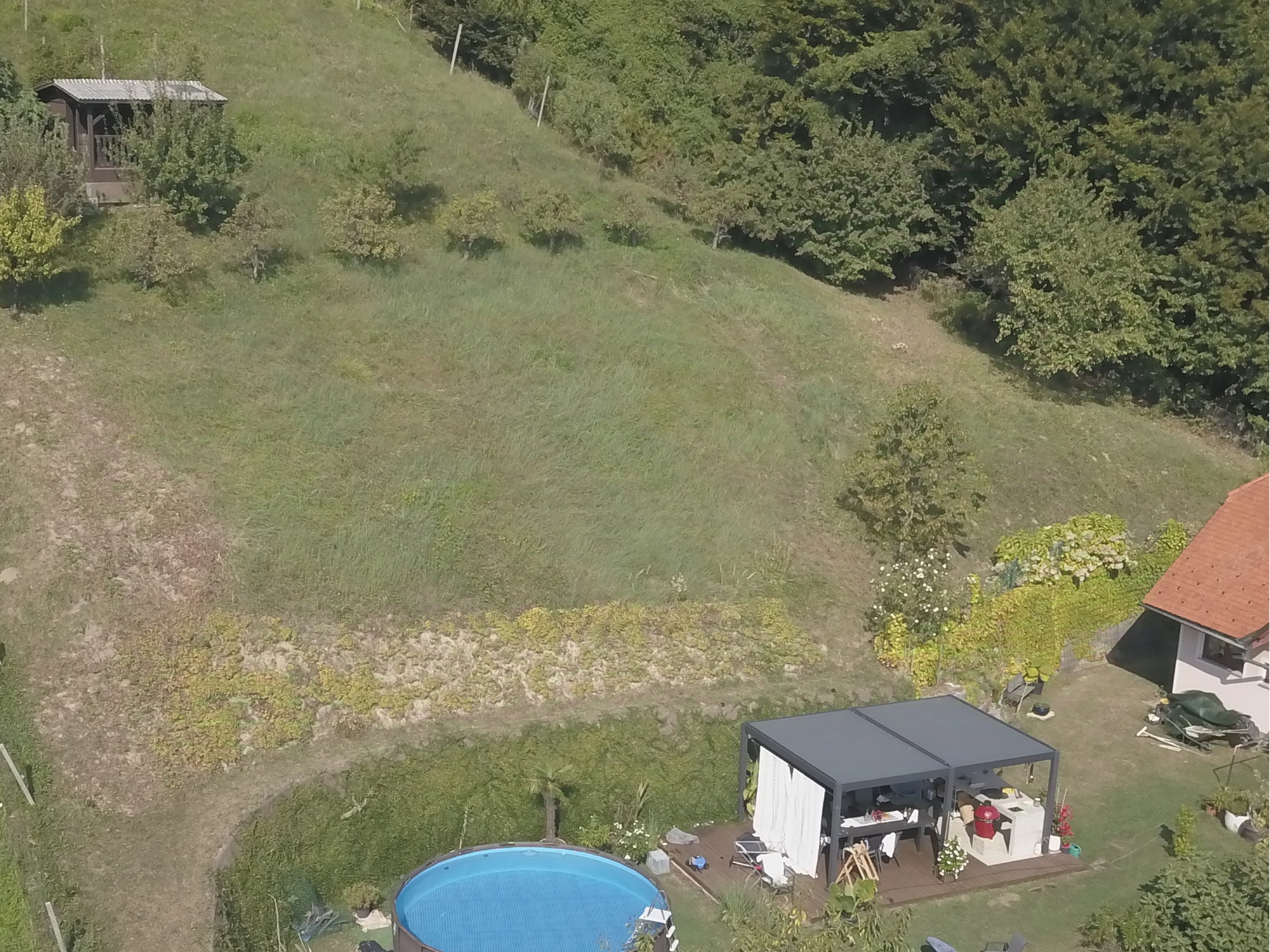 Posnetek iz zraka travnatega vrta na pobočju s pergolo, okroglim bazenom in sadovnjakom, gozd v ozadju.