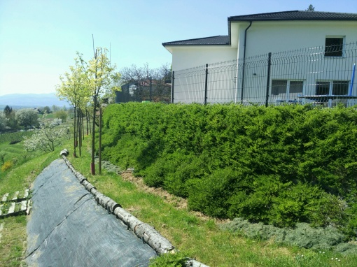 Vurberg – povečanje vrta in utrditev pobočja