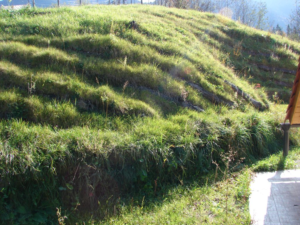 Utrjena in ozelenjena brežina po sanaciji.